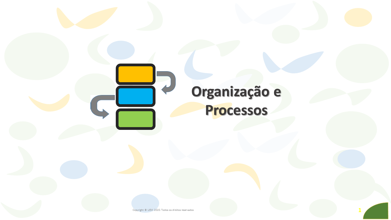 Organização e Processos