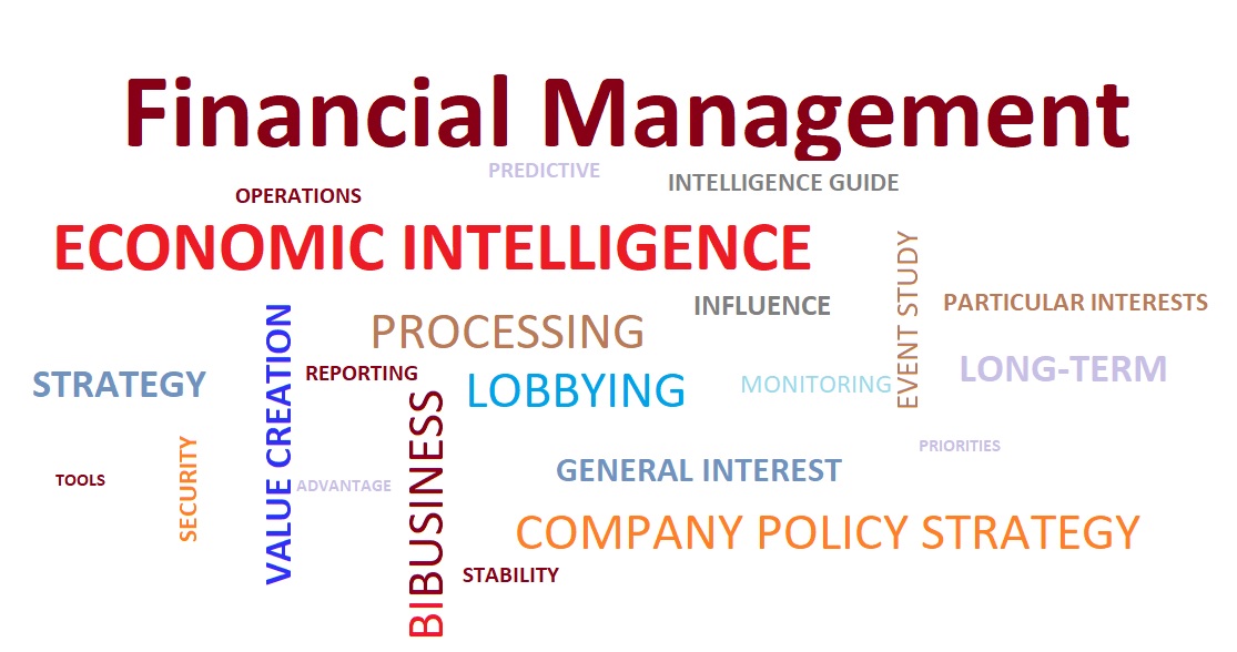 P2-MM11 - Financial Management, Investment and Economic Intelligence