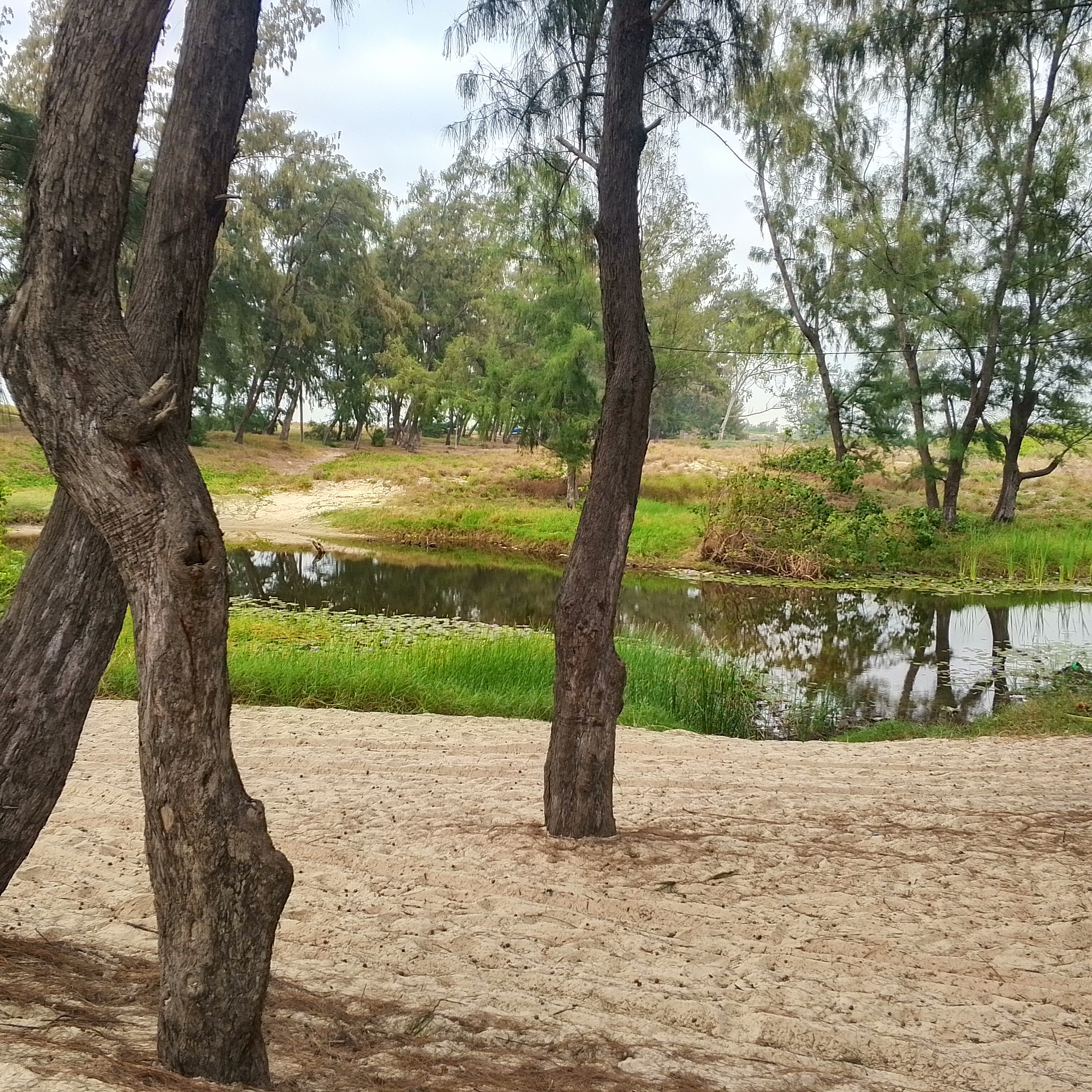 Educação ambiental e turismo